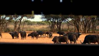 Otjozondjupa Regiona Trailer