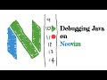 How to setup neovim for debugging java