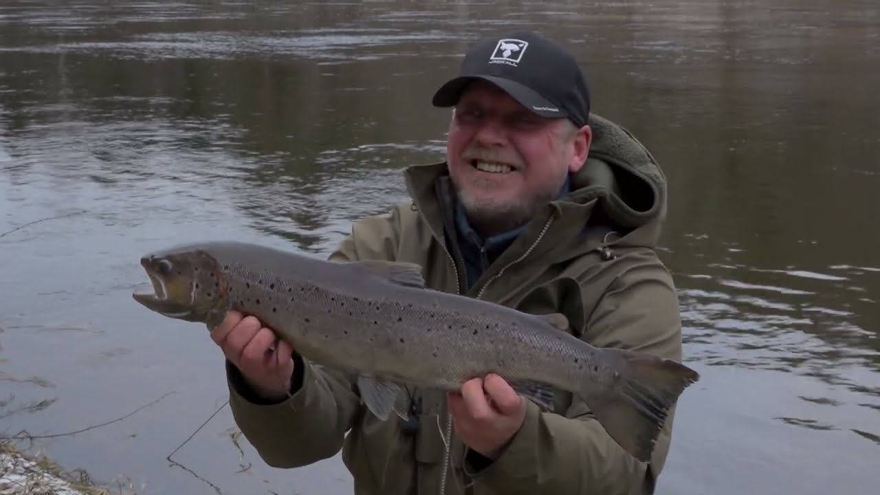 Šlakiai po Naujųjų. TV