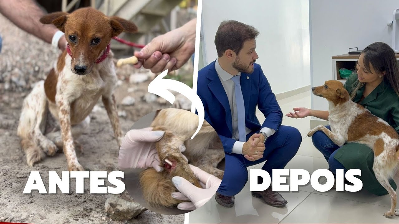 Ela sofreu calada. Agora, está pronta para amar de novo!