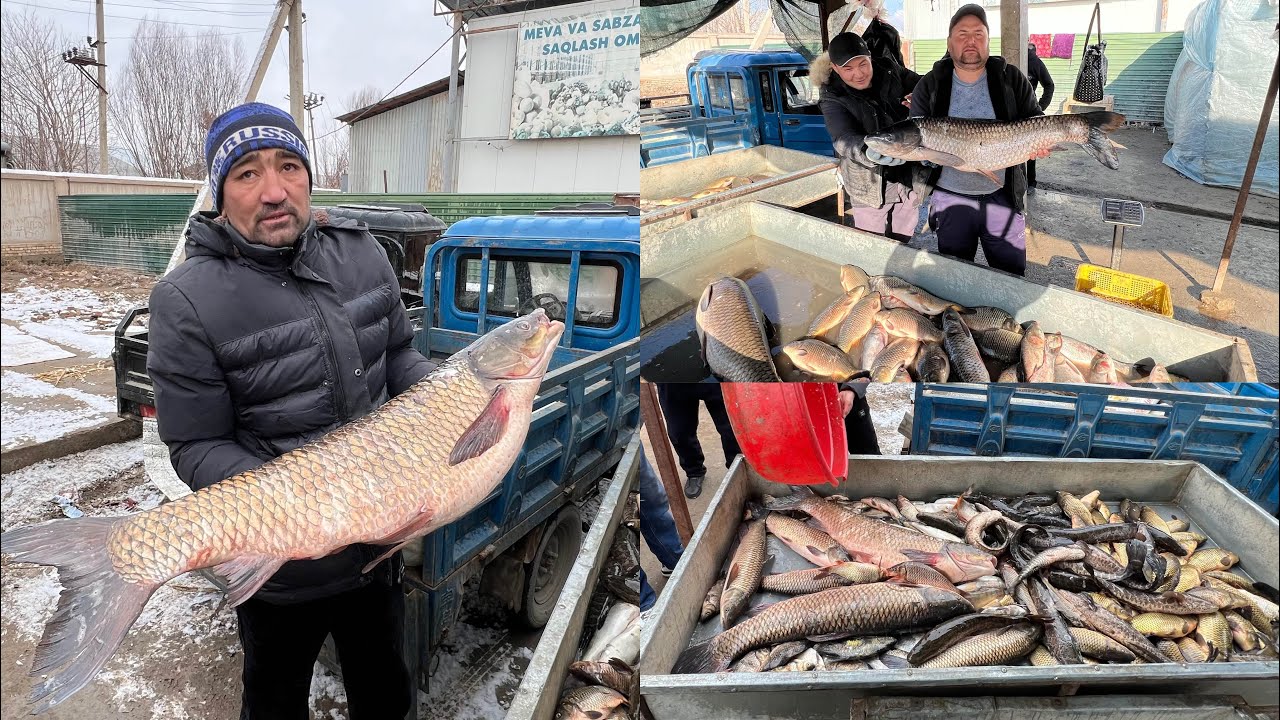 3 марта 2026 г. ТУРТКУЛЬ БАЛИК БОЗОР НАРХЛАРИ