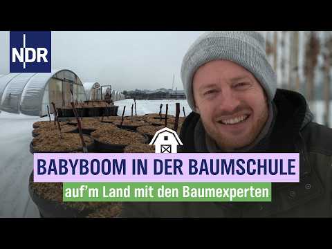 Uraltes Veredelungs-Handwerk: Jungbaum-Zucht in der Baumschule | Die  Baumexperten | Folge 5 | NDR