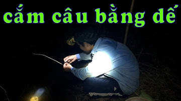 CẮM CÂU CÁ LÓC BẰNG MỒI DẾ, bữa nay gỡ cá mỏi tay luôn - NIGHT FISHING| Cuộc Sống Ruộng Vườn