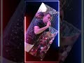 اجمل موال لا احمد عادل كروان الصعيد زرعت فدان جمايل واربع من المعروف