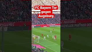 FC Bayern Tor gegen Augsburg #augsburg #bayernmunich #bundesliga #fcbayern #goals