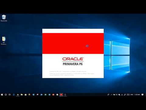 Project portfolio management introduction