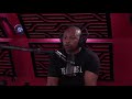 Who Has The Best Boxing Training YouTube Channel? Joe Rogan Interviews Roy Jones Jr