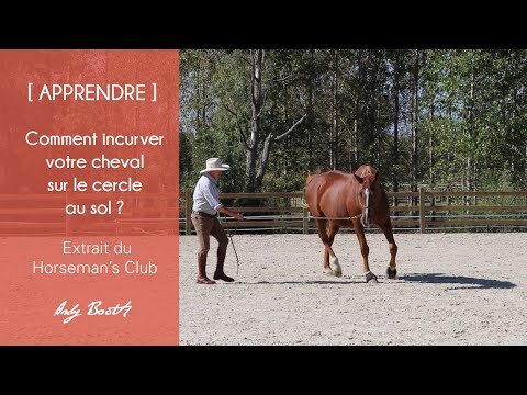 [ APPRENDRE ] Comment incurver son cheval sur le cercle au sol ?