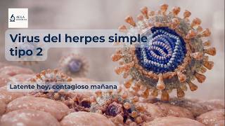 Virus del herpes simple tipo 2 (VHS-2) screenshot 5