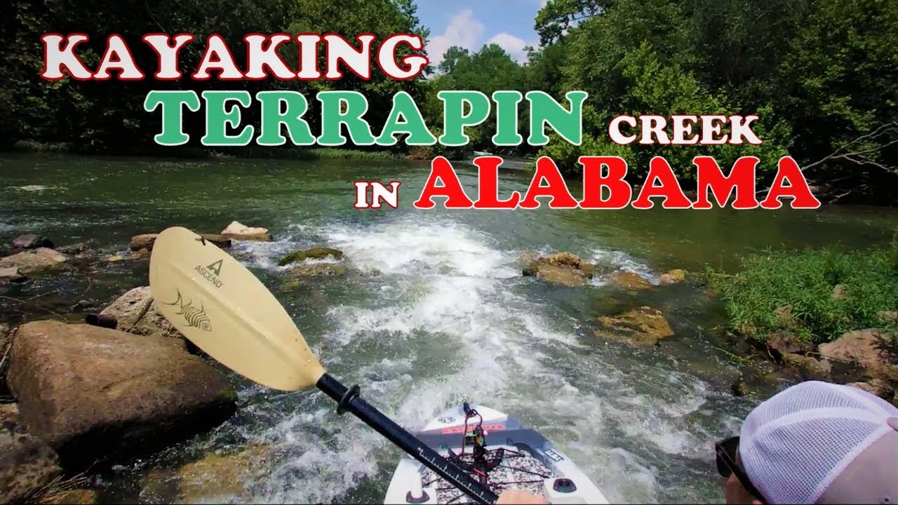 Kayaking Terrapin creek in Alabama, Cliff jump, Treasure hunt and more