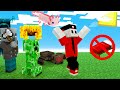 NON POSSO DORMIRE SU MINECRAFT