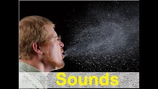 Sneeze Male Sound Effects All Sounds