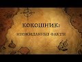 КОКОШНИК:НЕОЖИДАННЫЕ ФАКТЫ!