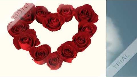 Denotations and Connotations