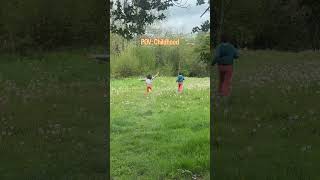 Dandelion Dreams #childhood #playing #bankholidays