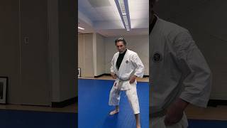 Famous Tate Shuto Uke to cover the Guard #karatetechniques Wealth