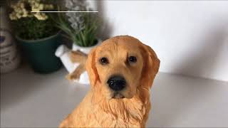 Golden retriever screenshot 4
