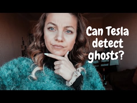 Ტესლა სულებს აფიქსირებს?!