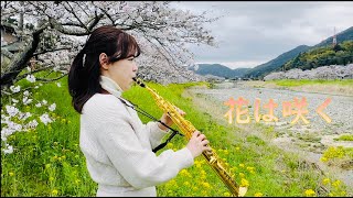 花は咲く / 東日本大震災 / 能登半島地震 / サックス / saxophone / 自然 / nature / 福岡県 / みやこ町 / 犀川 / 桜 / 今川