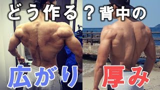 【解説】どう作る？背中の厚みと広がりを鍛え分ける【筋トレ】