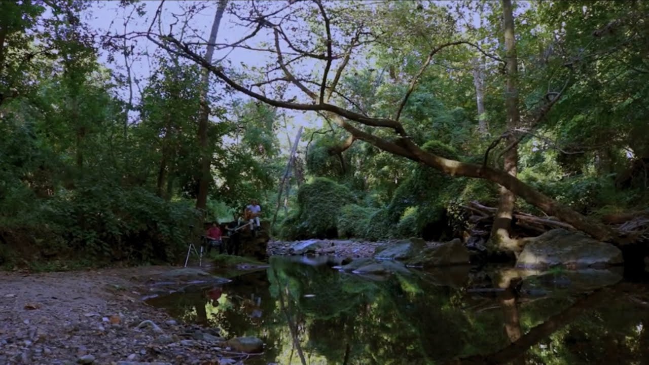 Proper Nouns - Emma & Experiment IV (Live Performance)