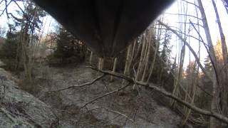 Revejakt Med Terrier