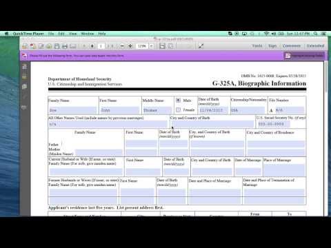 How to fill out the USCIS Form G-325A [K1 Visa]