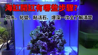 開一個小海缸有哪些步驟加水、化鹽、粘活石、爆藻一次全了解清楚 40背濾海缸開缸【水世界水族馆】