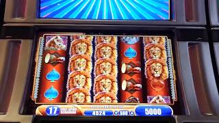 25 FREE GAMES @ $25 MAX BET! INCREDIBLE JACKPOT! King of Africa screenshot 4