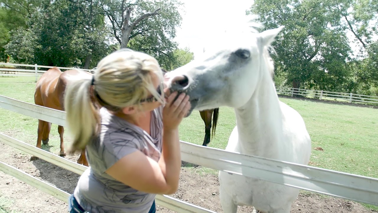 Truck Driver. Horse Rescuer. Game Changer. Lisa Kelly, HISTORY Ice