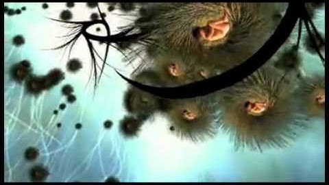 Creative Sound Design with Doepfer Analog modular synthesizer