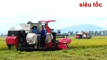 Máy kéo cùng máy cắt yanma82 vs yh850 thu hoạch lúa nhật chạy như lúa ngang tốc độ quá ghê tractor