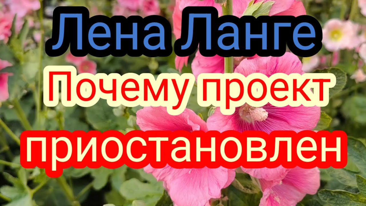 Лена Ланге.Странный шортс,о чем она?