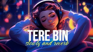 TERE BIN || LOFI || THIRD HOUR ||