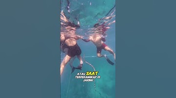🐍Ular Laut – Racun 10 Kali Lebih Kuat dari Kobra #videoshort #shorts #viral #shortsfeed #shortsvideo