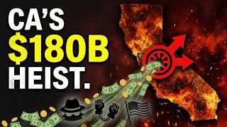 $180 Billion Stolen: How Your Taxes Are Funding Global Criminal Gangs
