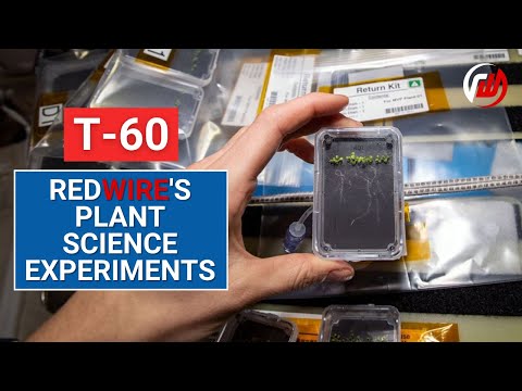 T-60: Plant Science