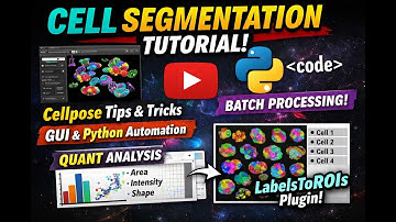 2D cell segmentation with cellpose