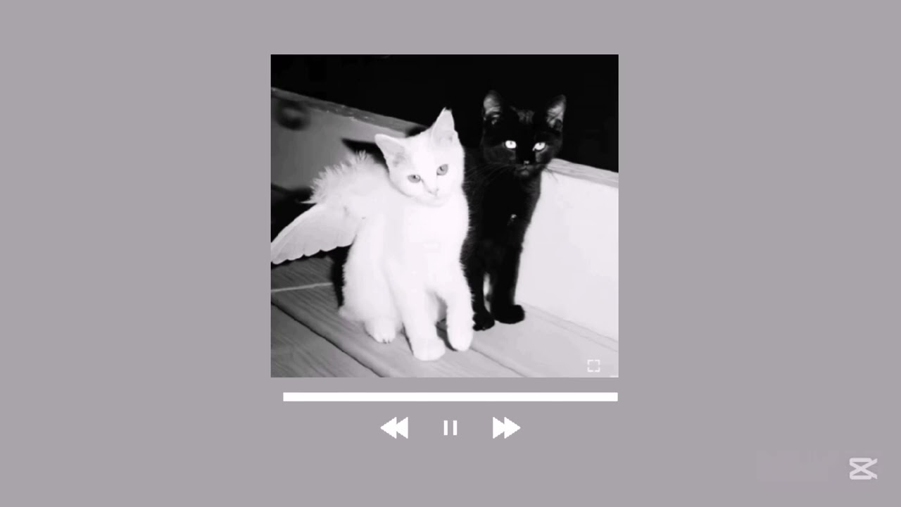 Zero in Bloom ( lonely) | Speed up