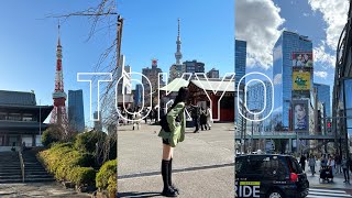 도쿄 14번 간 사람과 처음 간 사람의 3박 4일 여행 브이로그!ㅣ자매여행, 또또또간 도쿄 맛집, 디즈니랜드, 시부야, 도쿄타워, 하라주쿠, 오모테산도, 일본친구들 만나기