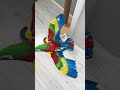 Birthday Gift рџЋЃ Cat Cats Birthday Gift рџЋЃ Cat Cats