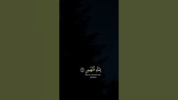 ﴿فَدَعَا رَبَّهُ أَنِّي مَغْلُوبٌ فَانتَصِرْ﴾ ( سورة القمر -الآية 10 )