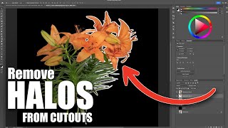 How to Remove Halos from Cutouts in Photoshop