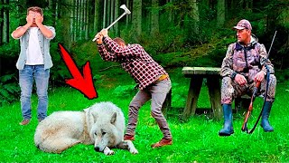 Охотники окружили раненного волка, но в последний момент произошло невероятное!