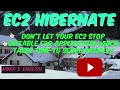 EC2 Hibernate | Preserve the state of EC2 Instance | Don't Let your EC2 Instance stop