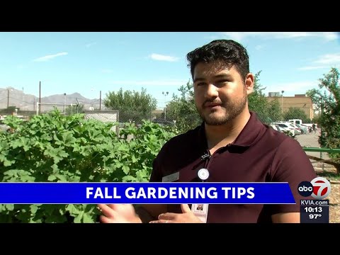 El Paso gardening