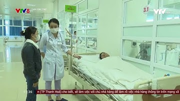 Gia tăng bệnh nhân nhập viện do rắn cắn