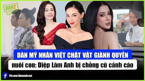 Diệp Lâm Anh và dàn mỹ nhân Việt chật vật giành quyền nuôi con | Bản tin DANZ