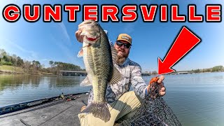 Spring Bass Fishing Is Awesome! Exploring Lake Guntersville!