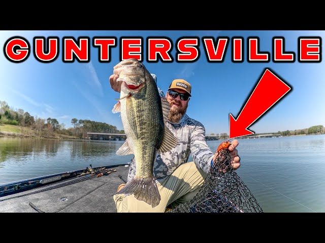 Spring Bass Fishing Is Awesome! Exploring Lake Guntersville! 